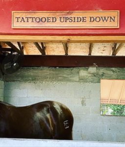 Custom Horse Name Stall Sign